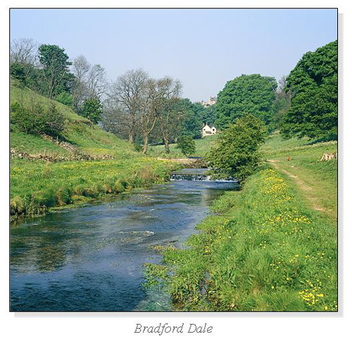 Bradford Dale Square Cards