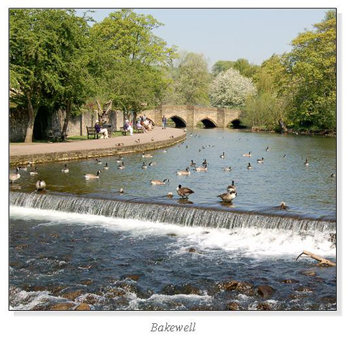 Bakewell Square Cards