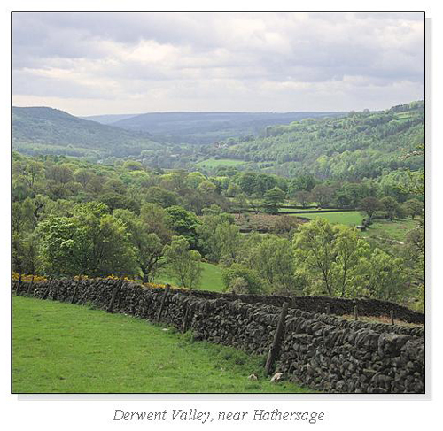 Derwent Valley, near Hathersage Square Cards