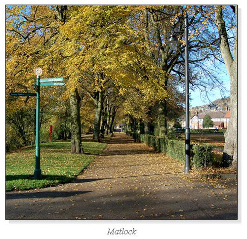 Matlock Square Cards