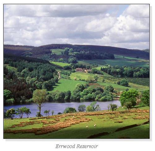 Errwood Reservoir Square Cards