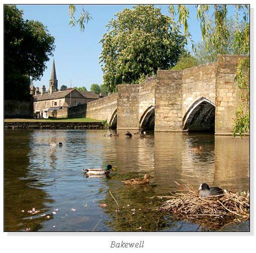 Bakewell Square Cards