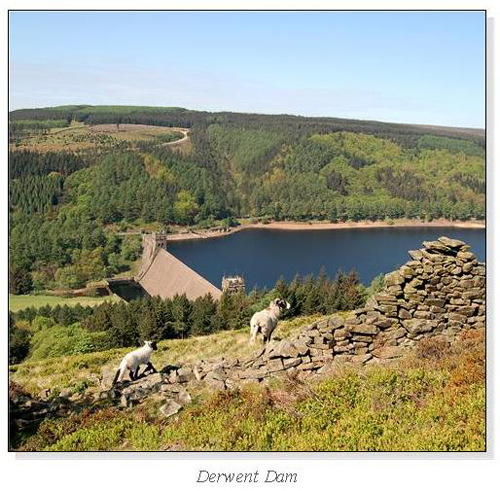 Derwent Dam Square Cards