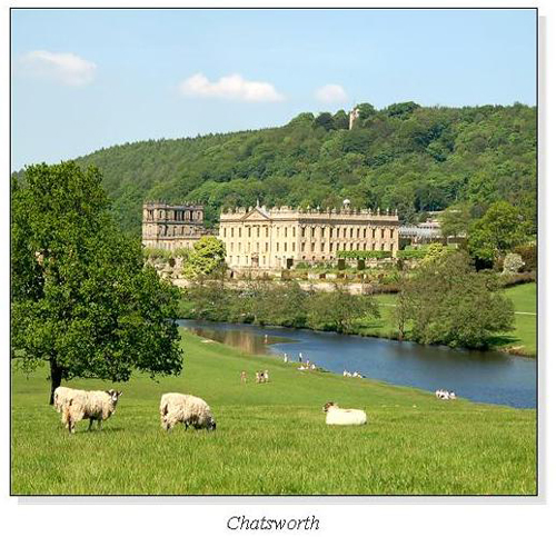 Chatsworth Square Cards
