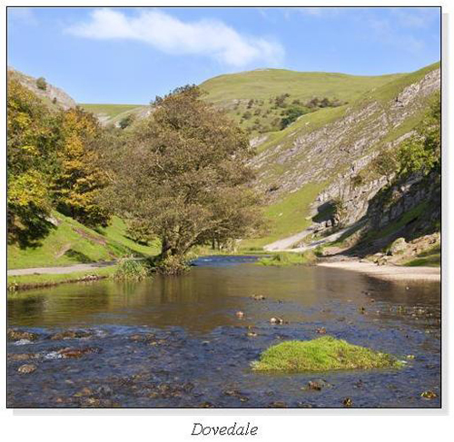 Dovedale Square Cards