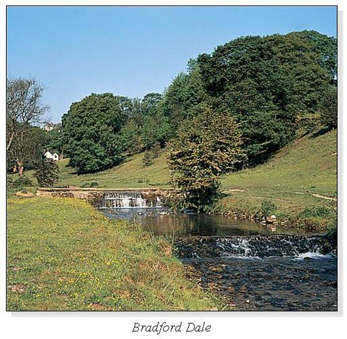 Bradford Dale Square Cards