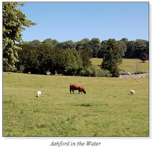 Ashford in the Water Square Cards