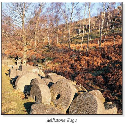 Millstone Edge Square Cards