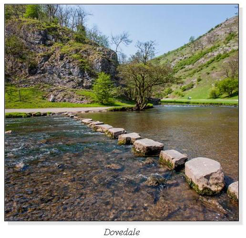 Dovedale Square Cards