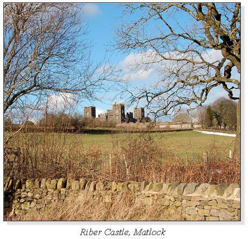 Riber Castle, Matlock Square Cards
