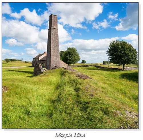 Magpie Mine Square Cards