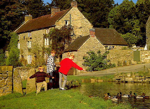 Tissington Pond Postcards