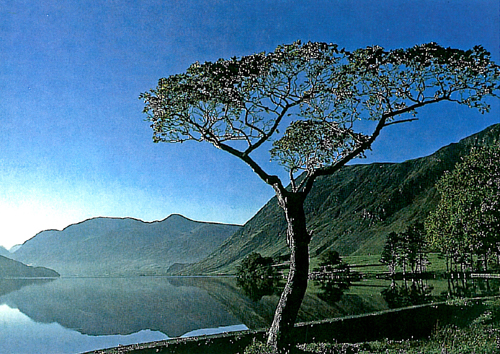 Crummock Water Postcards