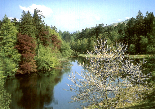 Tarn Hows Postcards