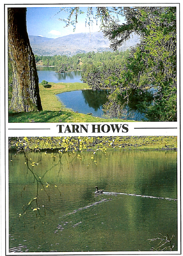 Tarn Hows Postcards