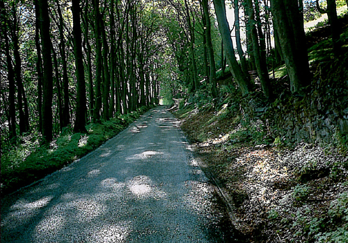 The Siggate, Castleton Postcards