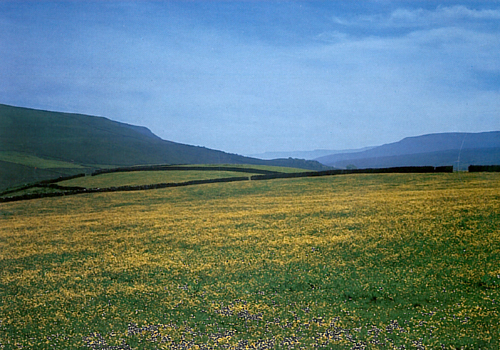 Mallerstang Valley Postcards