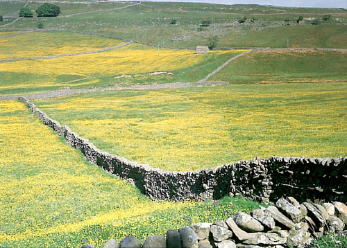 Mallerstang Valley Postcards