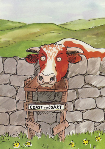 Coast to Coast A5 Greetings Cards