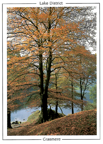 Grasmere Postcards