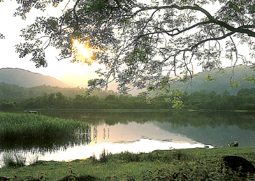 Elterwater Postcards