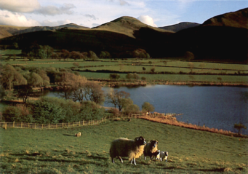 Loweswater Postcards