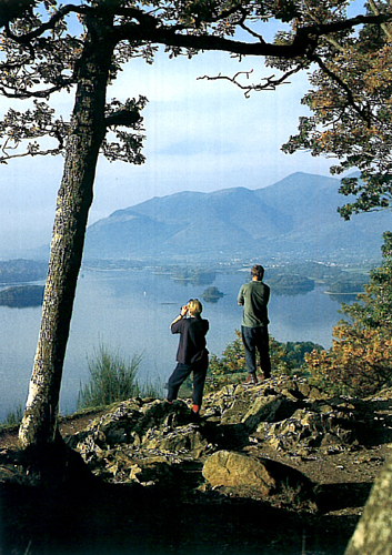 Surprise View, Derwentwater Postcards