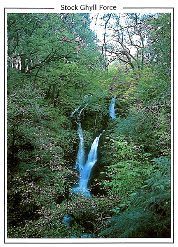 Stock Ghyll Force, Ambleside Postcards