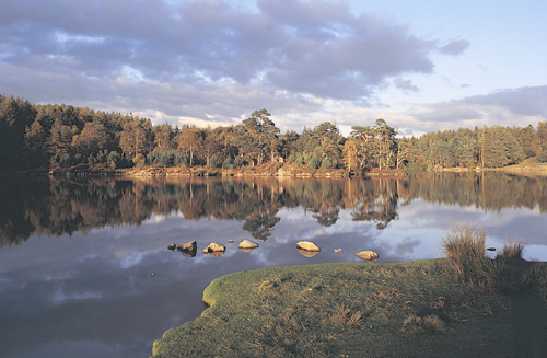 Tarn Hows postcards