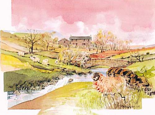Secret Pennines Watercolour postcards