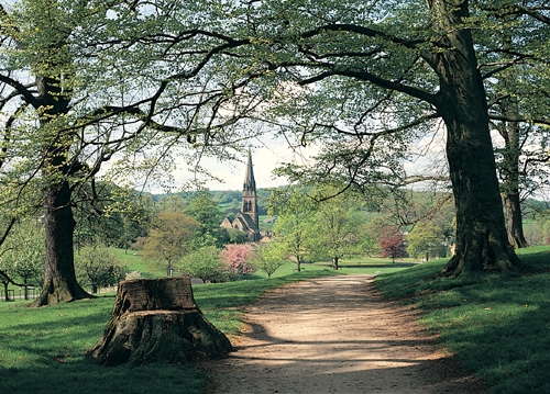 Edensor VP Greetings Cards