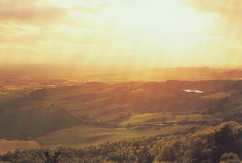 Sutton Bank VP Greetings Cards
