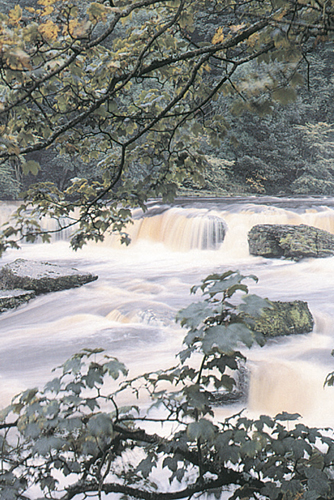 Aysgarth Falls VP Greetings Cards