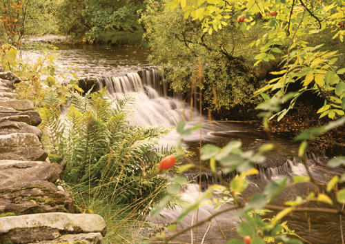 River Dee, Dentdale VP Greetings Cards