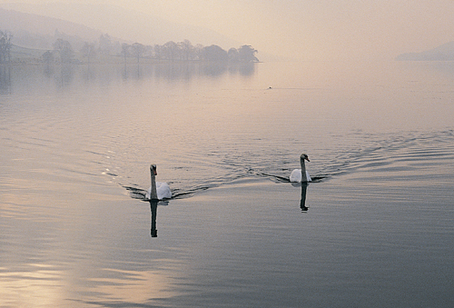 Coniston VP Greetings Cards