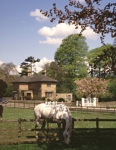 Chatsworth Park VP Greetings Cards