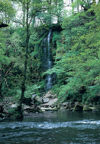 Mallyan Spout VP Greetings Cards
