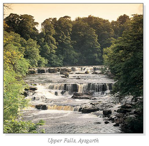 Upper Falls, Aysgarth Square Cards