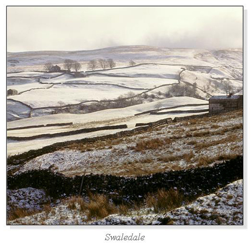 Swaledale Square Cards