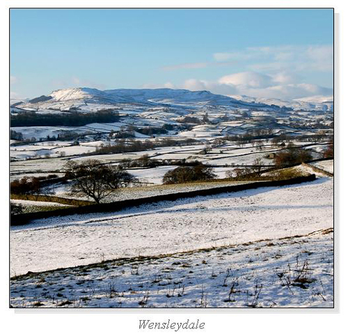 Wensleydale Square Cards