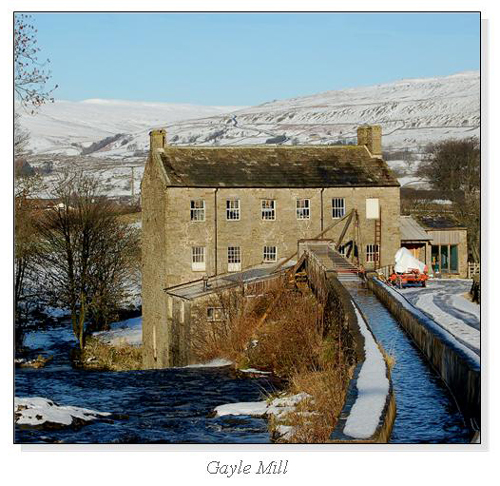Gayle Mill Square Cards