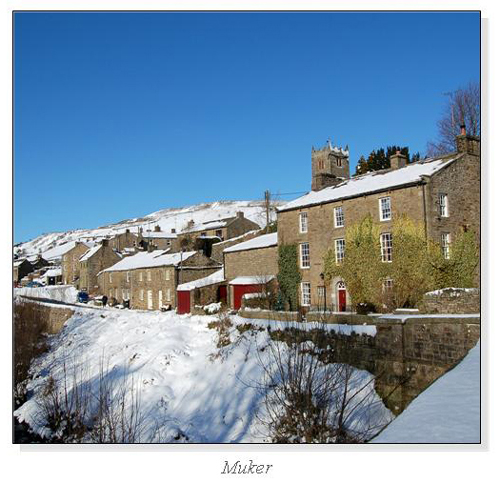 Muker Square Cards
