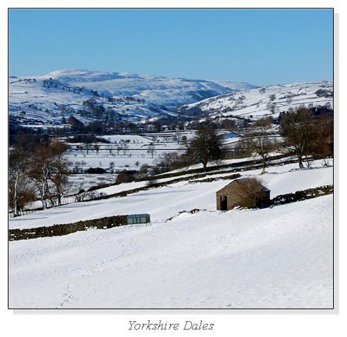 Yorkshire Dales Square Cards