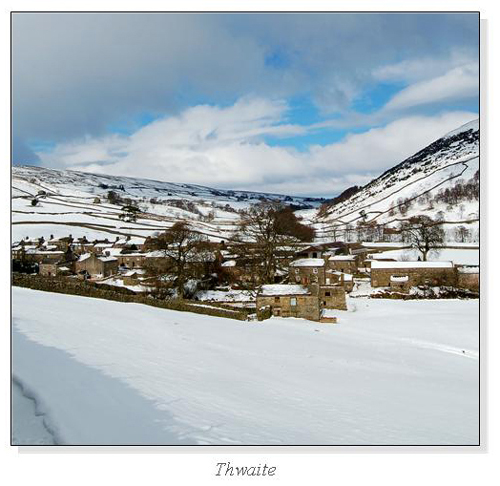 Thwaite Square Cards