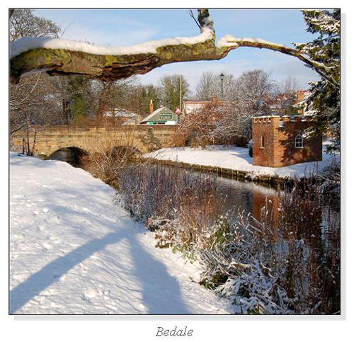 Bedale Square Cards