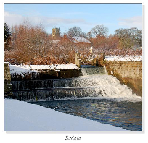 Bedale Square Cards