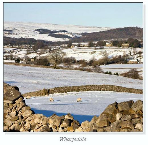 Wharfedale Square Cards