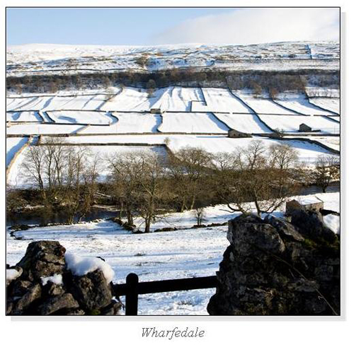 Wharfedale Square Cards