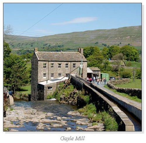 Gayle Mill Square Cards