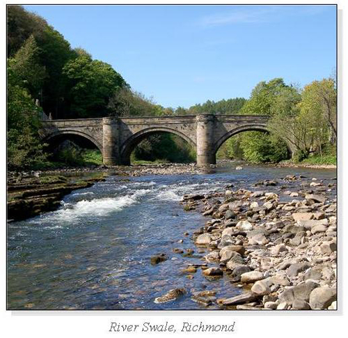 River Swale, Richmond Square Cards